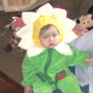 Meet your Posher, Jodi